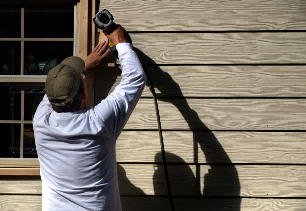 Best Historical Building Siding Restoration  in Seville, FL